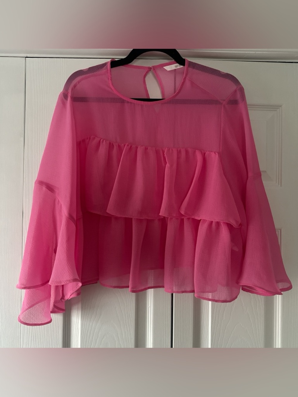Zara Women's Sheer Pink Ruffle Blouse